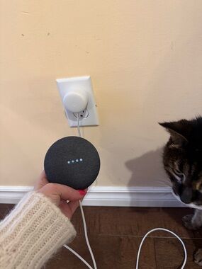 Google Nest Mini (2nd Generation)